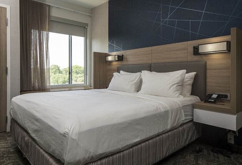 Люкс, Springhill Suites By Marriott Charlotte Huntersville