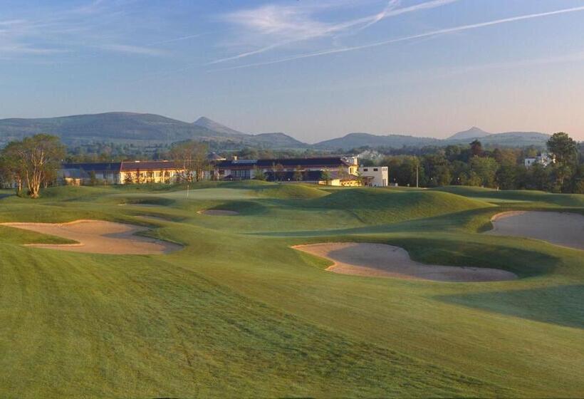 스탠다드 룸 킹사이즈 침대, Druids Glen Resort