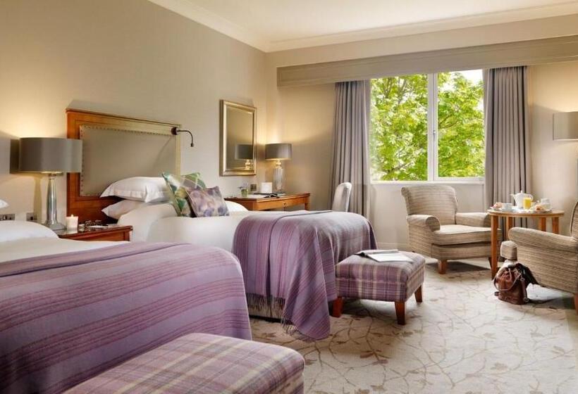 디럭스 패밀리 룸, Druids Glen Resort