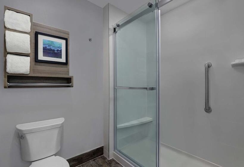ダブルベッドのスタンダードスタジオ, Homewood Suites London Ontario