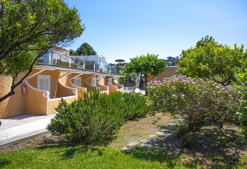 Quarto Estandar, Parco Delle Agavi