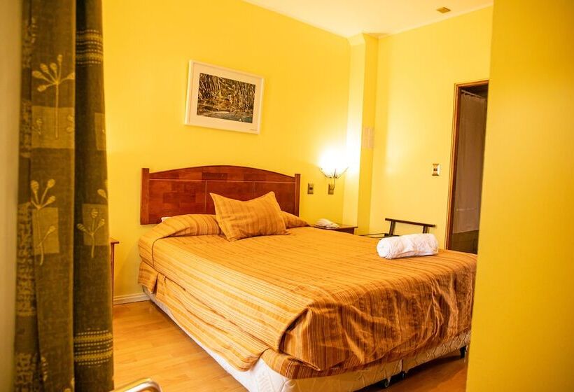 اتاق استاندارد یک نفره, Ayelen Apart