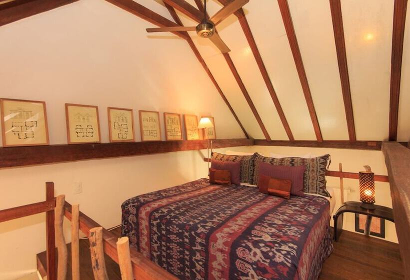 豪华房间, Casa Lola Deluxe Gallery