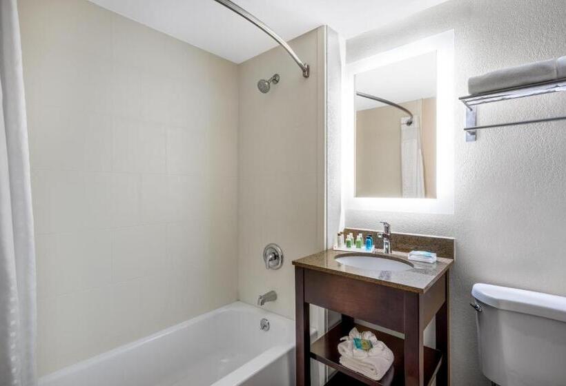 Номер Стандарт, Holiday Inn Poughkeepsie, An Ihg