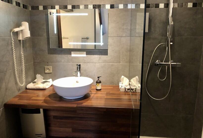 Номер Стандарт Индивидуальный, Logis Hotel Oasis