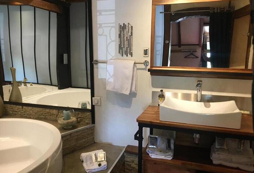 Номер Superior со СПА доступом, Logis Hotel Oasis