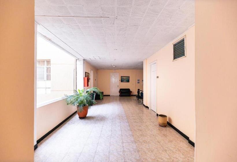 스탠다드 싱글 룸, Calle Real Suite