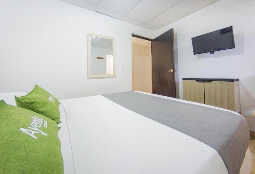 Номер Стандарт, Puerto Vigia Inn
