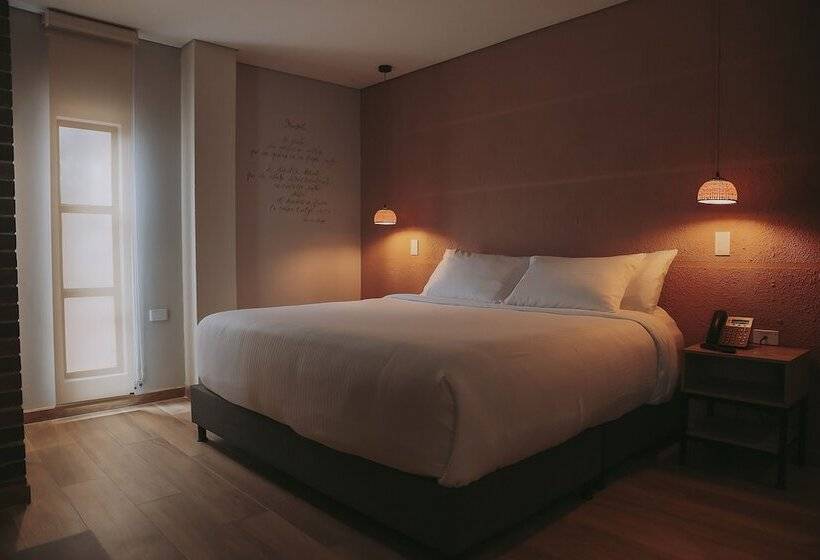 标准间, Casa Rosé