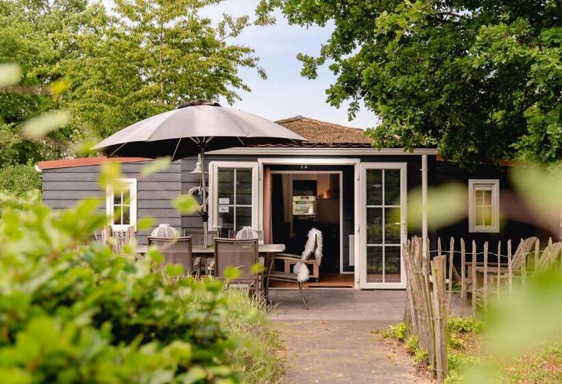 침실 3개 아파트, Reggechalet 6 Persons Adjusted