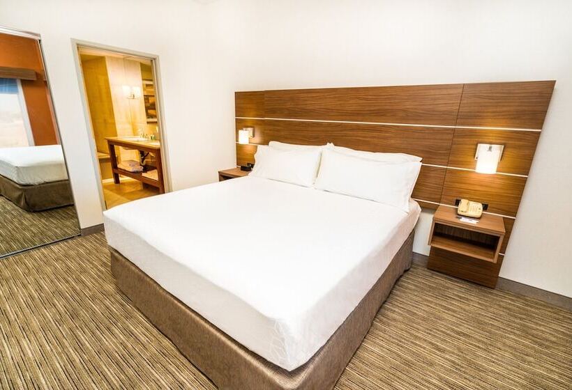 스탠다드 룸, Holiday Inn Express & Suites Las Vegas Sw Springvalley, An Ihg
