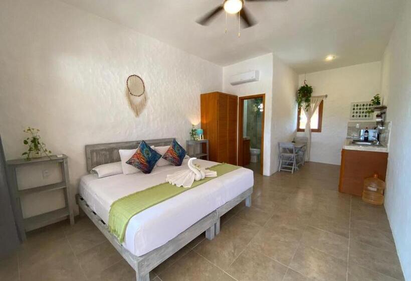 استودیوی استاندارد, Lunada Holbox