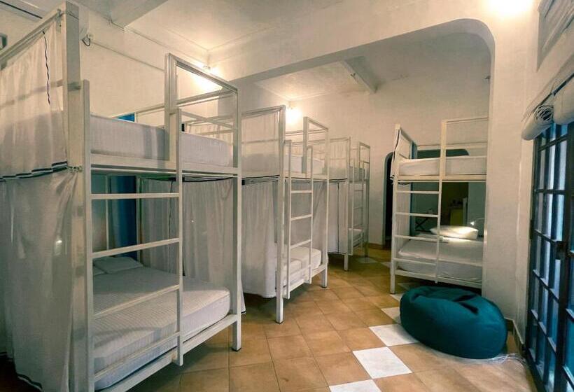 Кровать в Общей Комнате, Lost & Found   Colombo