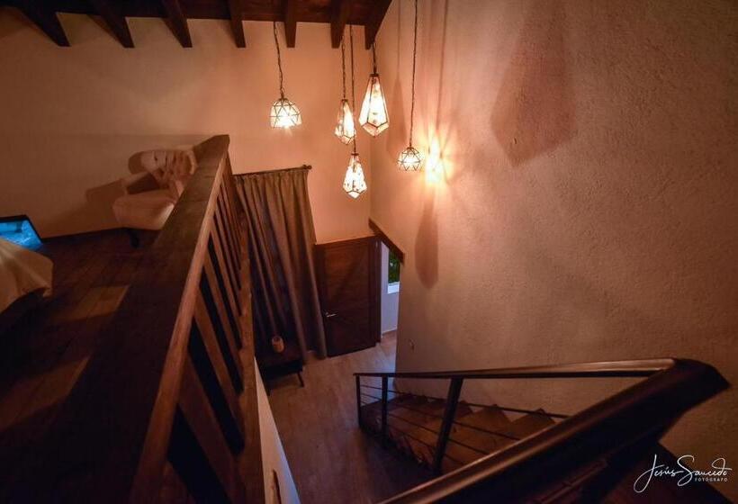 复式套房, Suites Campestres Montebello