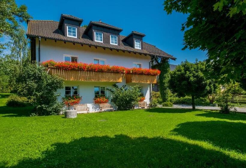 Номер Стандарт Индивидуальный, Gasthof Pension Walther
