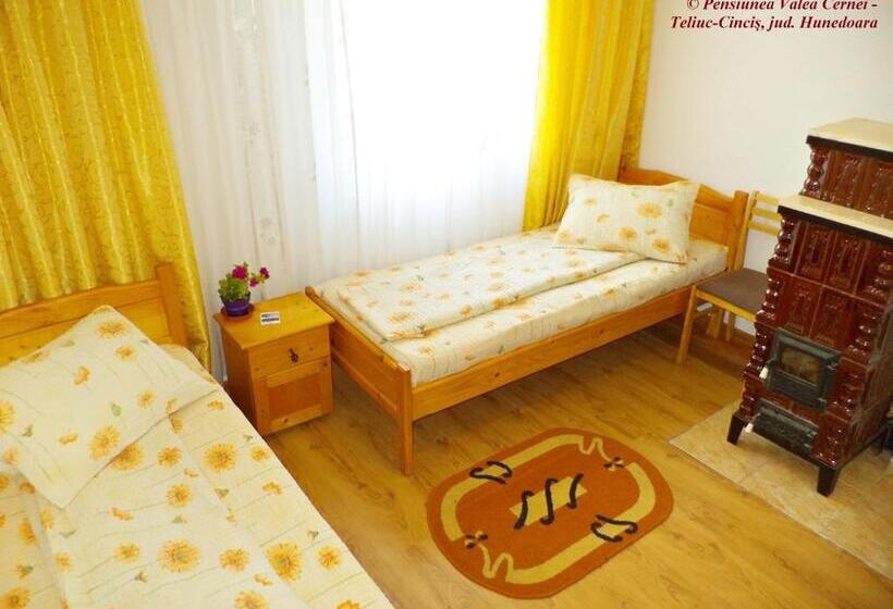 Номер Стандарт Совместная Ванная, Pensiunea Valea Cernei