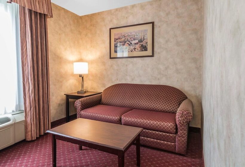 스위트, Comfort Inn & Suites