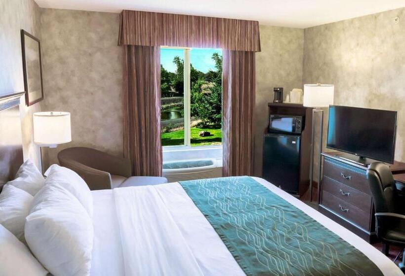 스위트 킹사이즈 침대, Comfort Inn & Suites