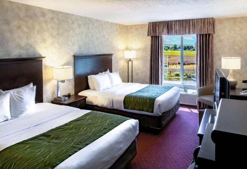 스위트, Comfort Inn & Suites