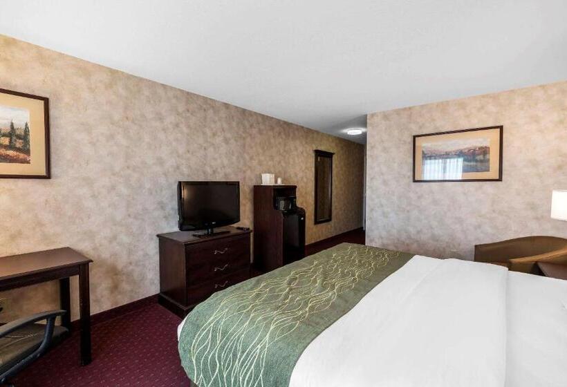 장애인을 위한 킹사이즈 침대 스탠다드 룸, Comfort Inn & Suites