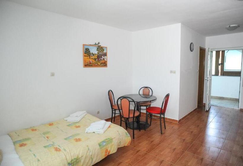 شقة غرفة واحدة, Apartmani Vila Caska