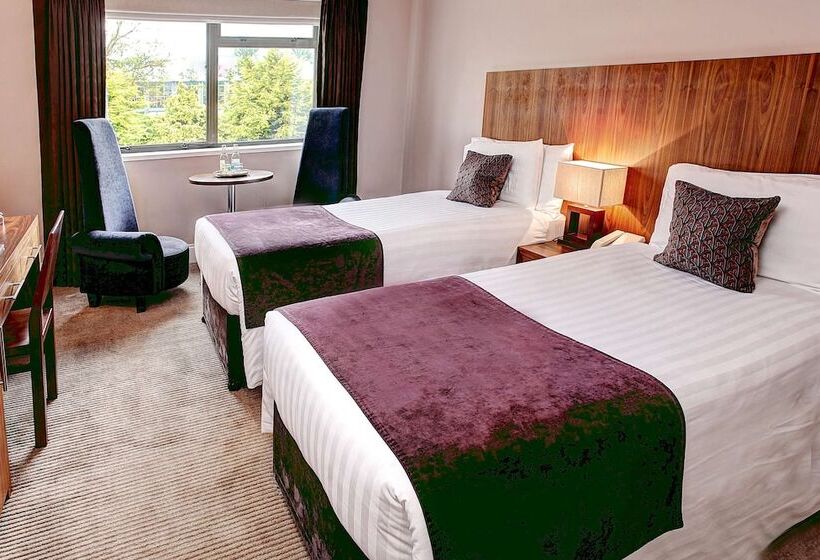 Номер Стандарт, Best Western Plus Centurion