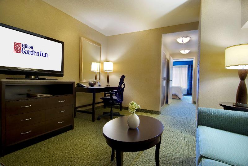 Júnior Suíte Cama King, Hilton Garden Inn Atlanta Downtown