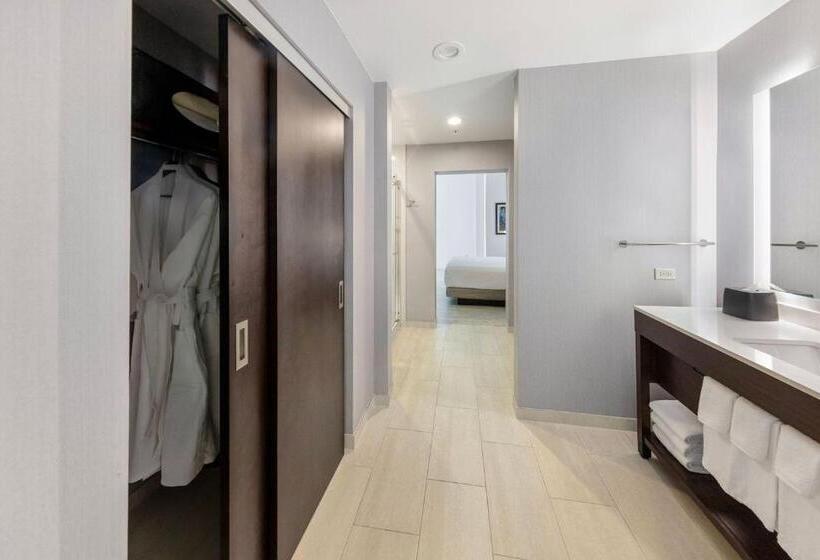 带大床的套房, Hyatt Place West Palm Beach