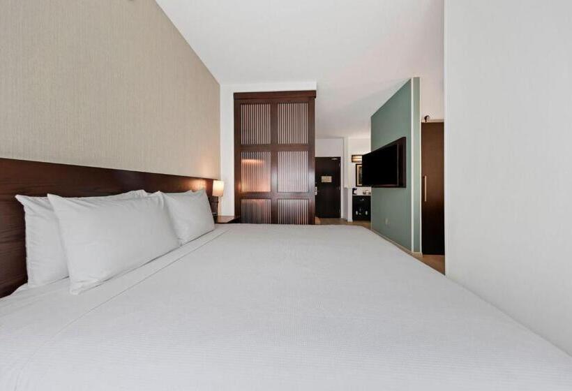 带大床的标准间, Hyatt Place West Palm Beach