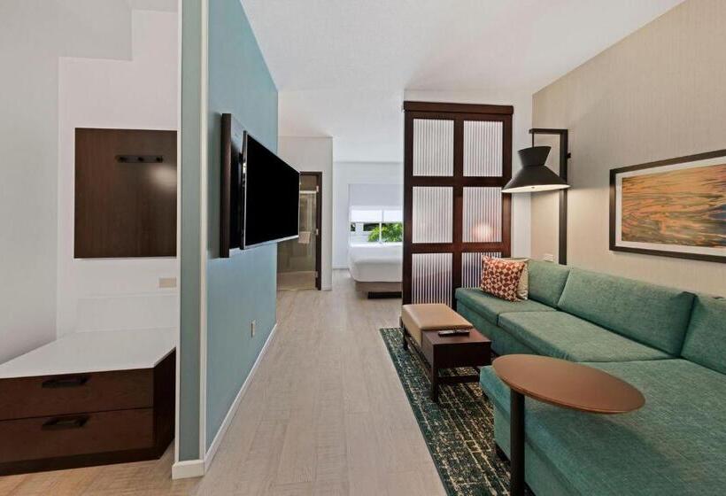 带大床的标准间, Hyatt Place West Palm Beach