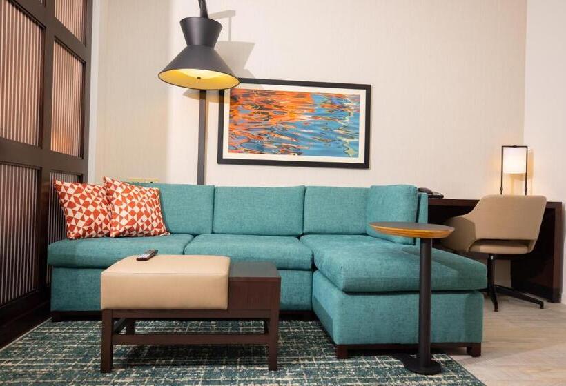 带大床的标准间, Hyatt Place West Palm Beach