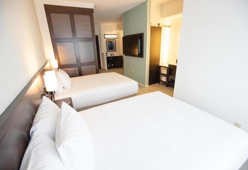 带2个双人床的标准工作室, Hyatt Place West Palm Beach