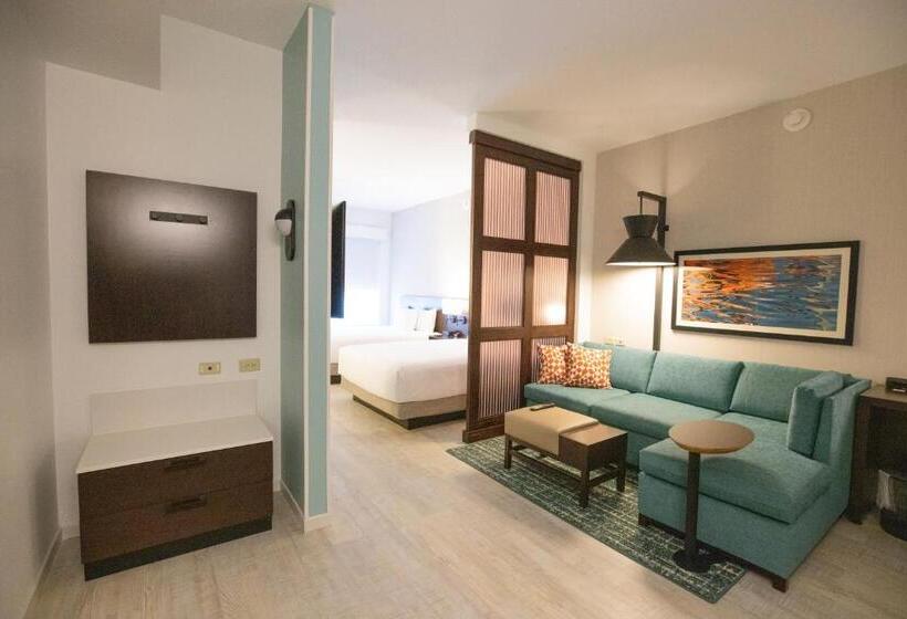 带2个双人床的标准工作室, Hyatt Place West Palm Beach