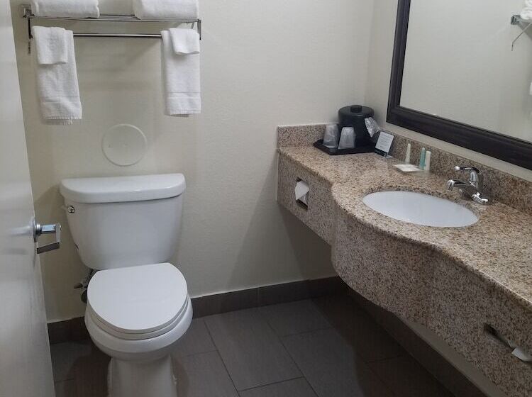 스탠다드 룸 더블 침대 2개, Quality Inn Prattville I65