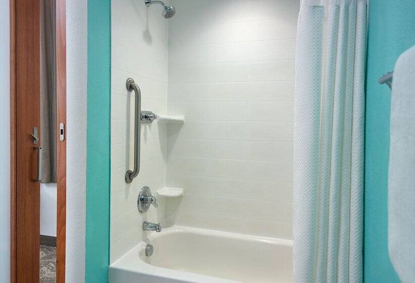 스탠다드 스튜디오, Springhill Suites By Marriott Orlando At Seaworld