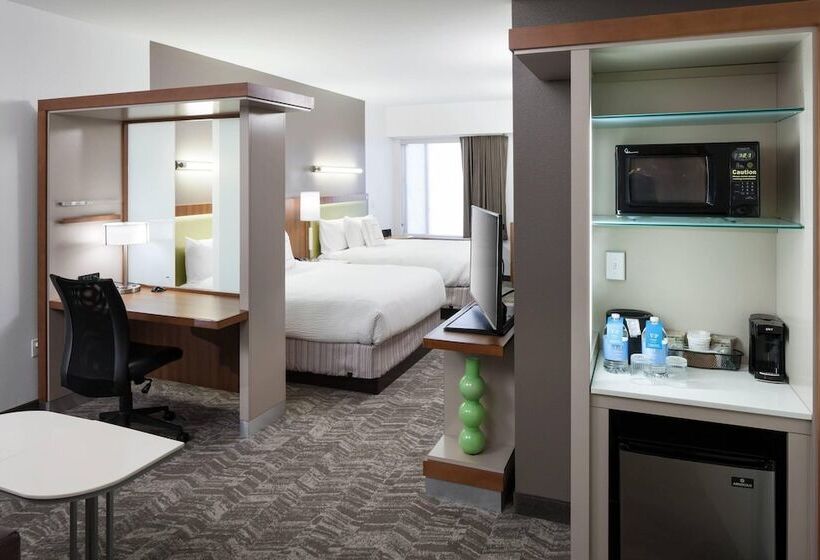 스탠다드 스튜디오, Springhill Suites By Marriott Orlando At Seaworld