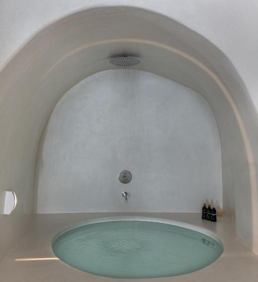 Люкс с Бассейном, Andronis Luxury Suites