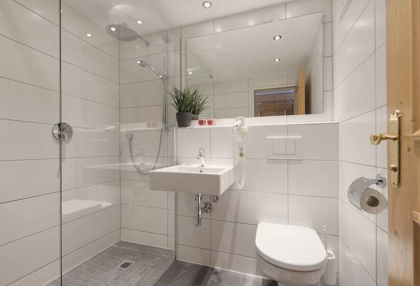 StandaardKamer, Gabl By Alpeffect Hotels