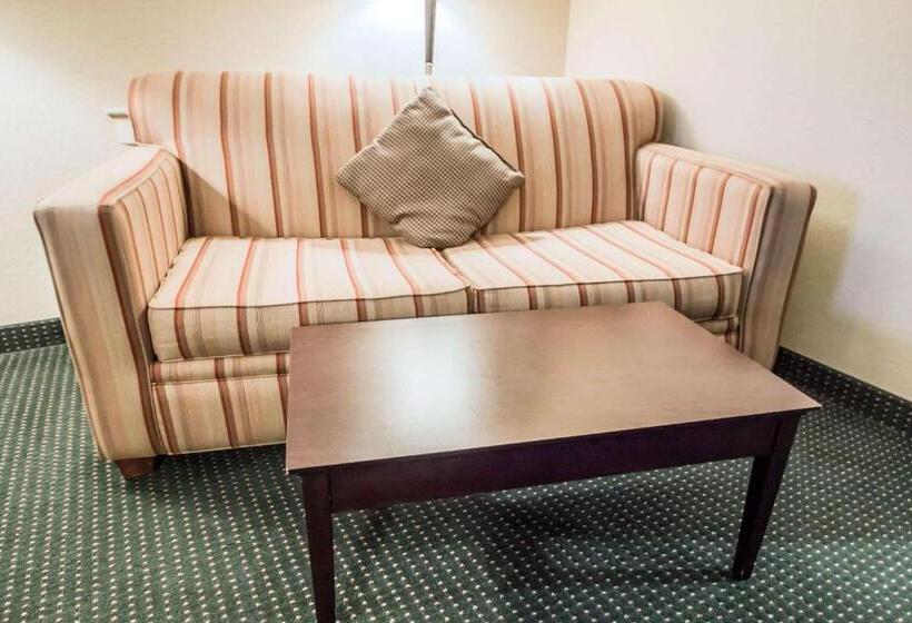 Люкс, Comfort Suites Orlando Airport