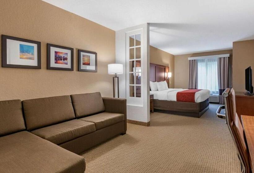 Люкс Кровать Кинг, Comfort Suites Orlando Airport