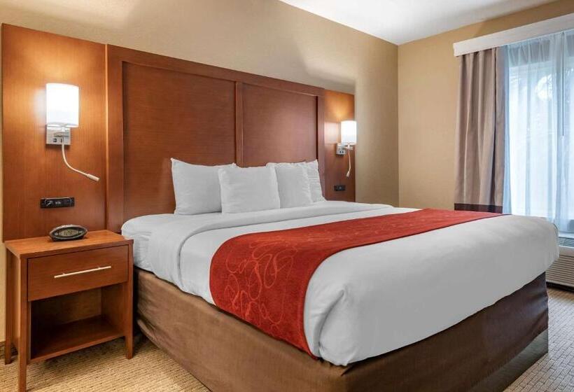 带大床的套房, Comfort Suites Orlando Airport