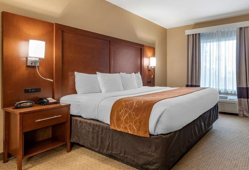 Люкс, Comfort Suites Orlando Airport