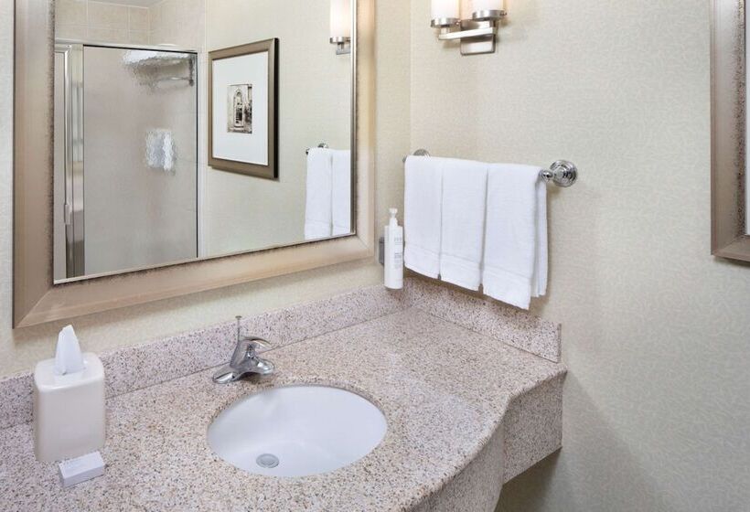 带大床的套房, Hilton Garden Inn Miami Airport West