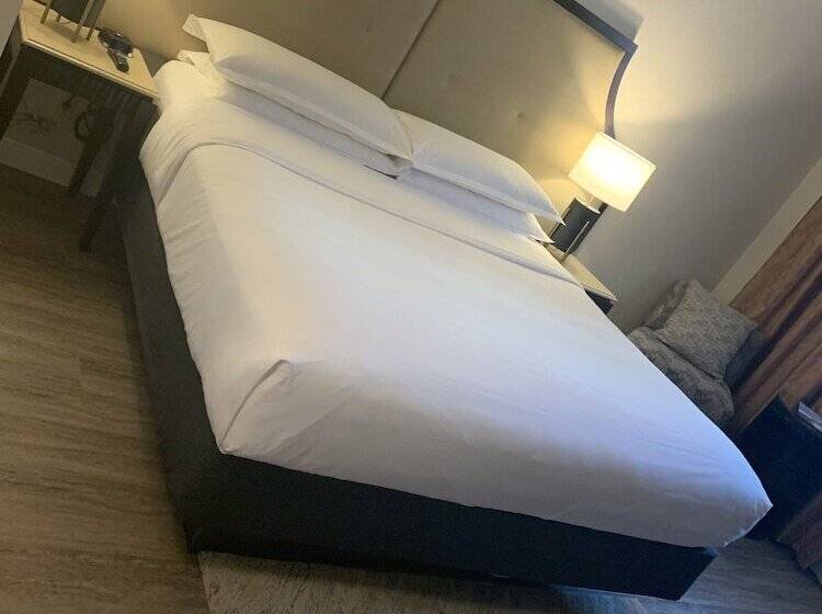 ダブルベッドスタンダードルーム, Sheraton Brooklyn New York