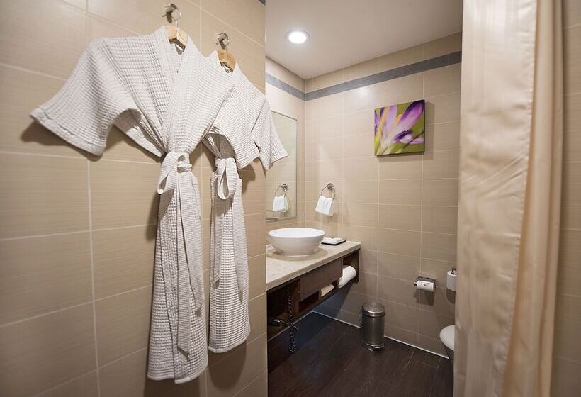 اتاق استاندارد با تخت دوبل, Hilton Garden Inn New Delhi/saket