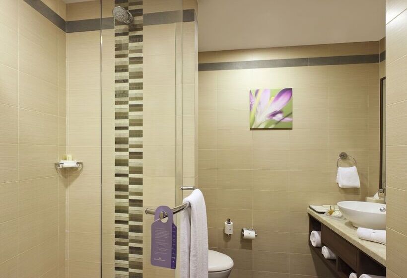 اتاق استاندارد برای معلولان, Hilton Garden Inn New Delhi/saket