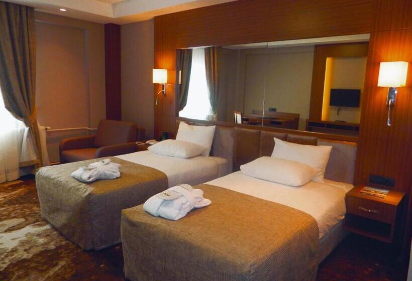 Executive Room, The Green Park Kartepe