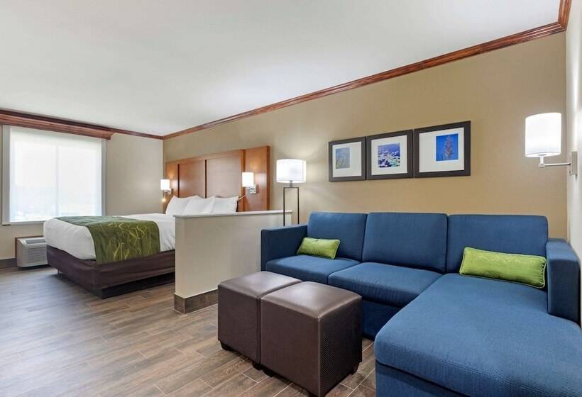 Люкс, Comfort Suites West Monroe Near Ike Hamilton Expo Center