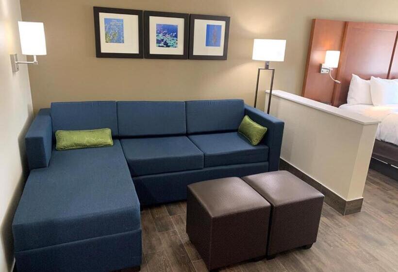 Люкс Кровать Кинг, Comfort Suites West Monroe Near Ike Hamilton Expo Center
