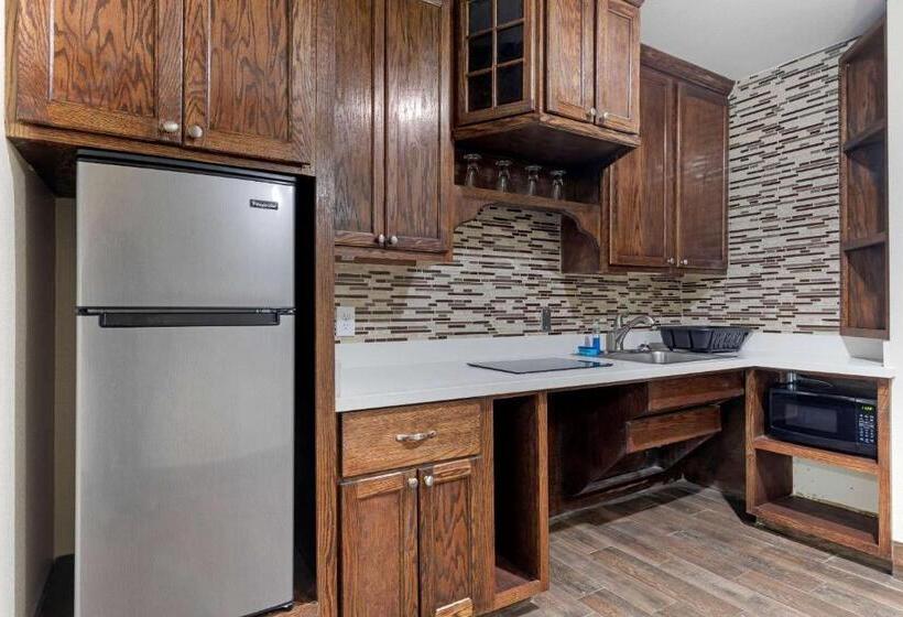 Люкс Адаптированный для Инвалидов, Comfort Suites West Monroe Near Ike Hamilton Expo Center